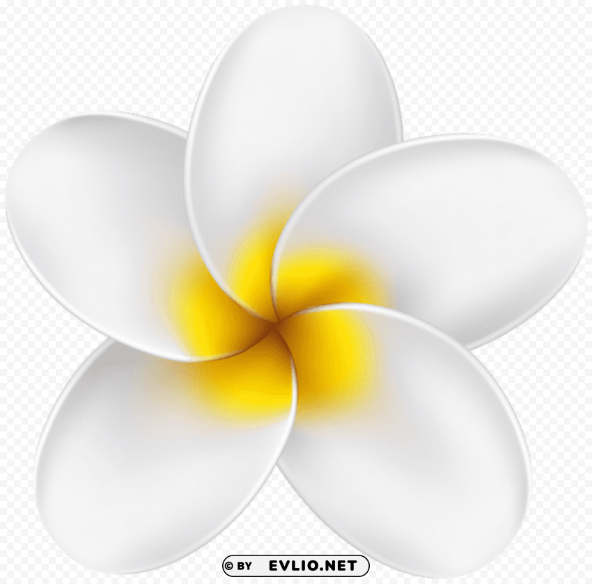 PNG image of tropical flower Transparent PNG Isolated Artwork with a clear background - Image ID c4d12306