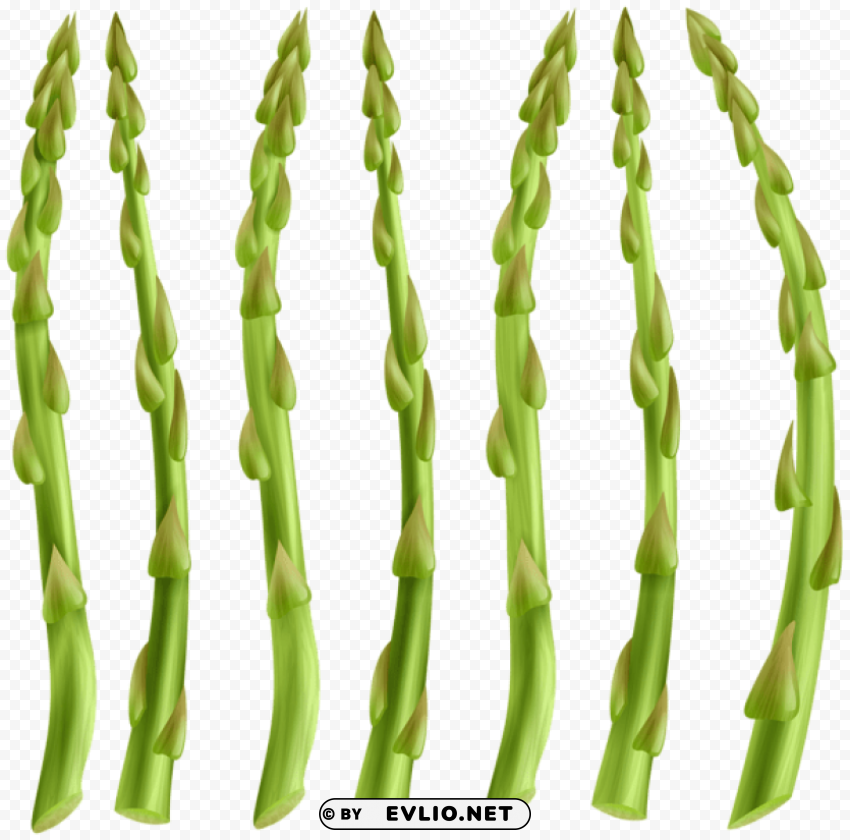 asparagus High-definition transparent PNG