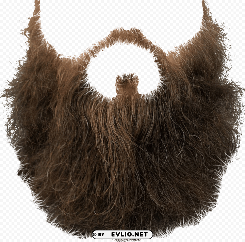 beard and moustache Clean Background Isolated PNG Illustration
