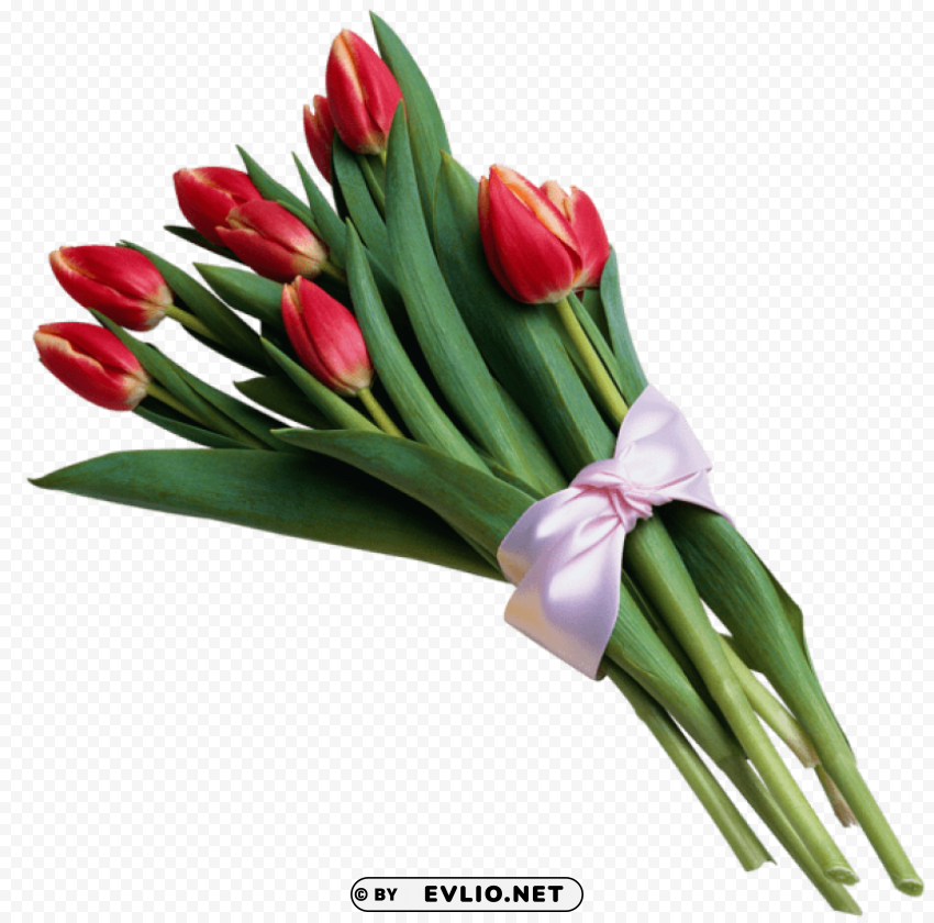 PNG image of bouquet of red tulipspicture Transparent PNG images free download with a clear background - Image ID 3f2aa271