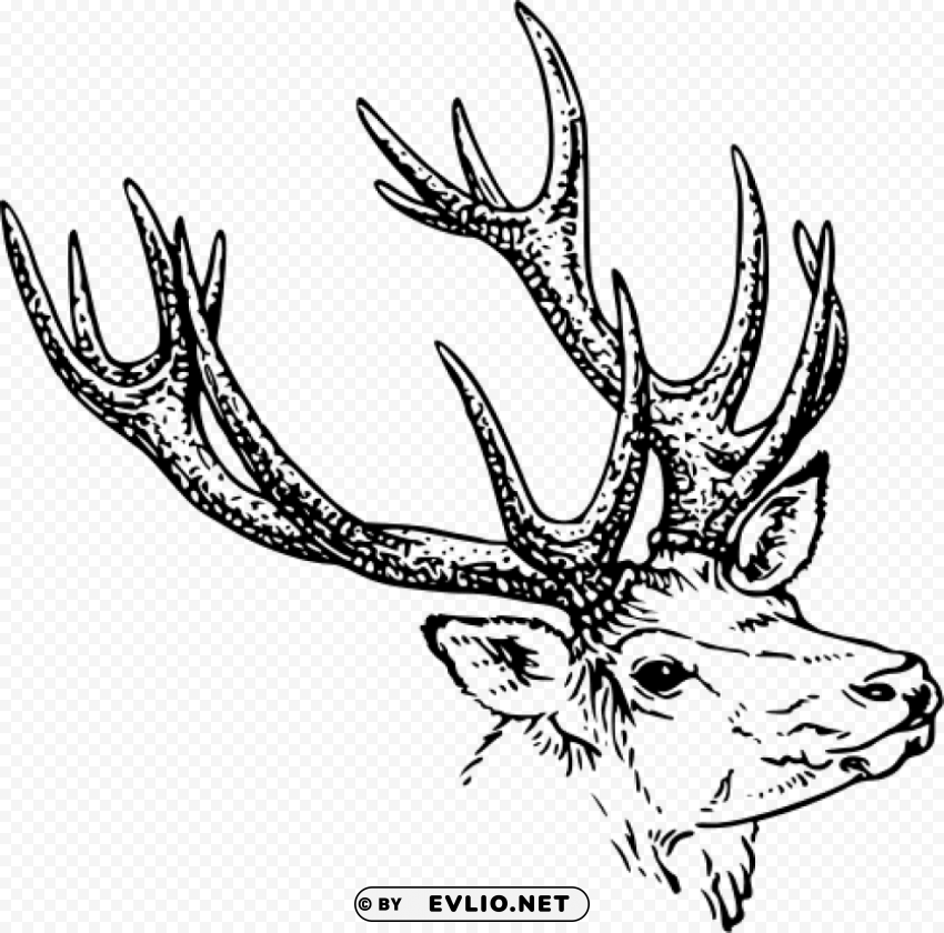 deer illustration bw PNG images with no background essential png images background - Image ID 6ab43b97