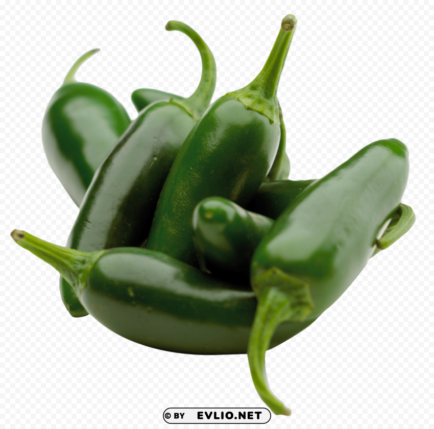 green chili pepper Clear PNG pictures bundle