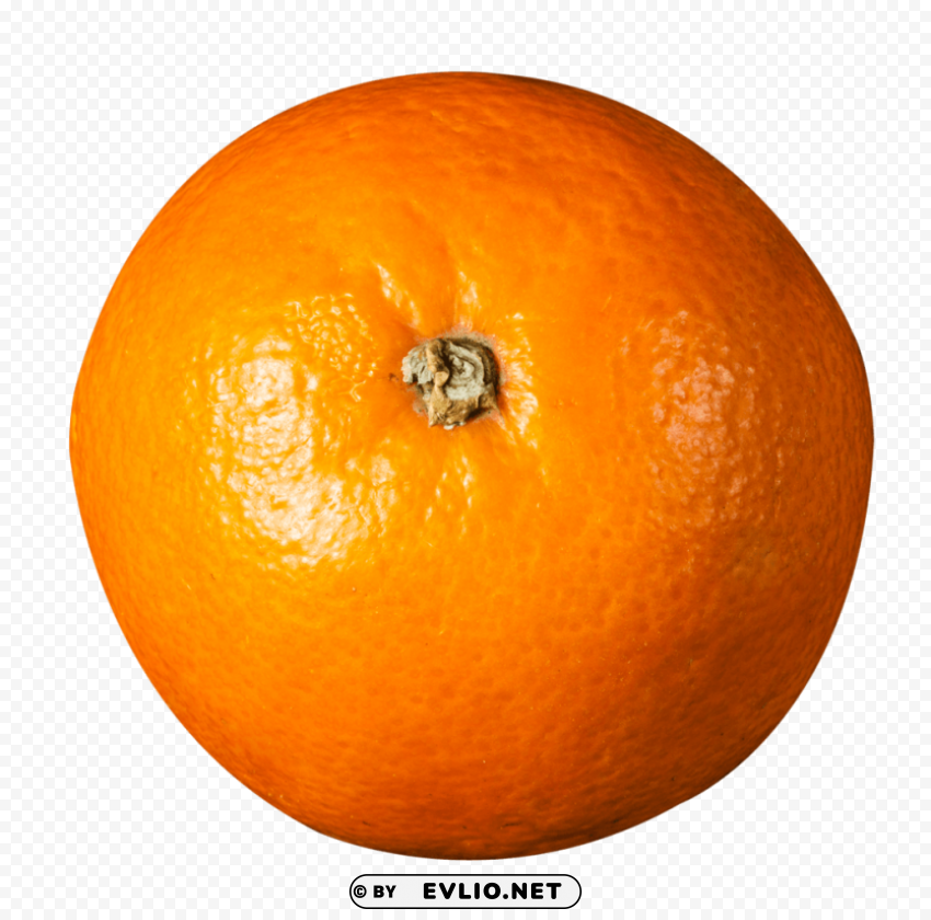 Orange Transparent PNG Images For Design