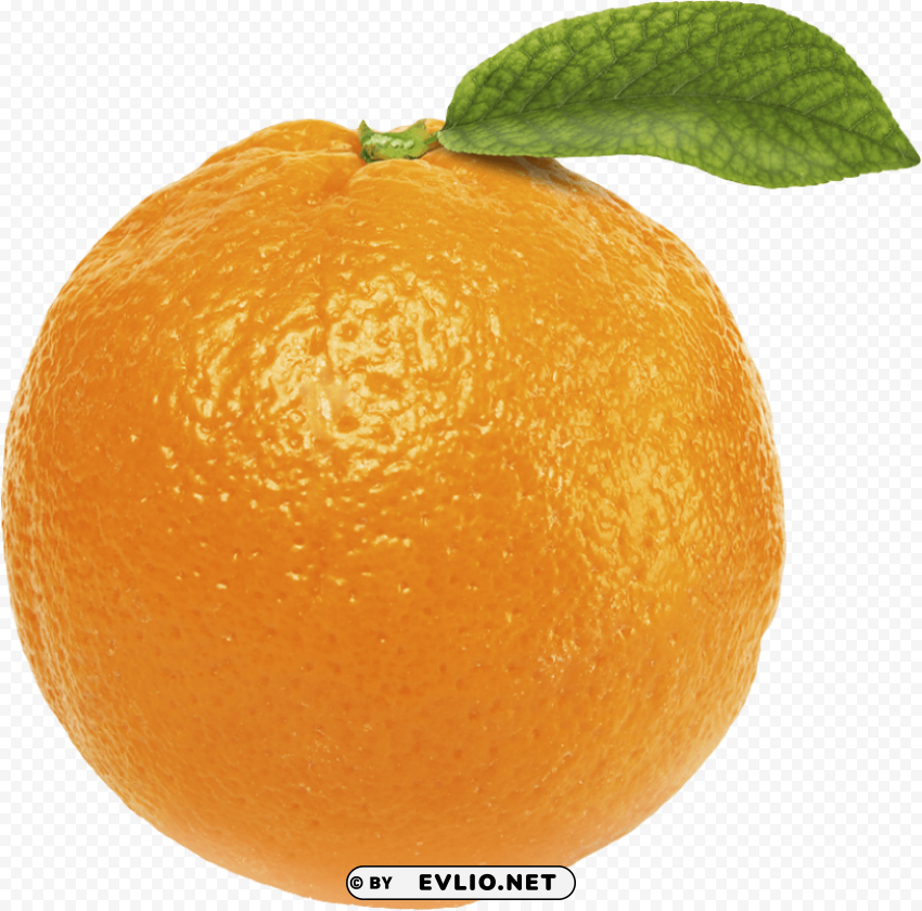 orange orange PNG transparency images