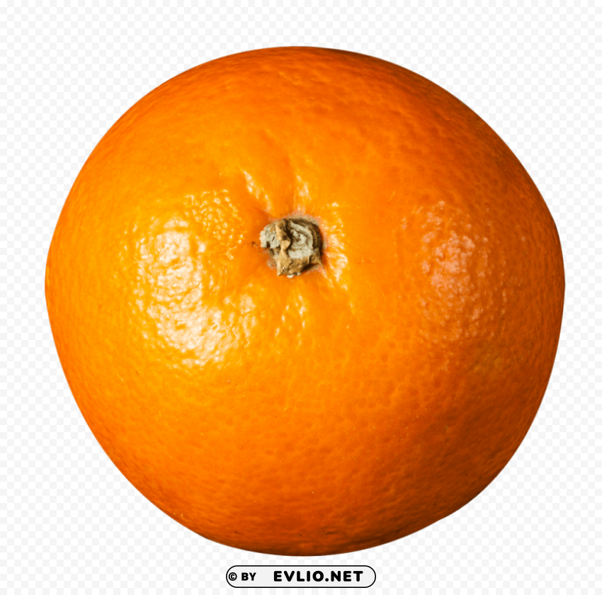 Orange Top View PNG images with no royalties