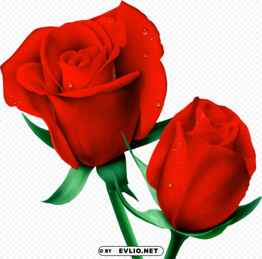 Red Large Painted Roses HighResolution Isolated PNG Image