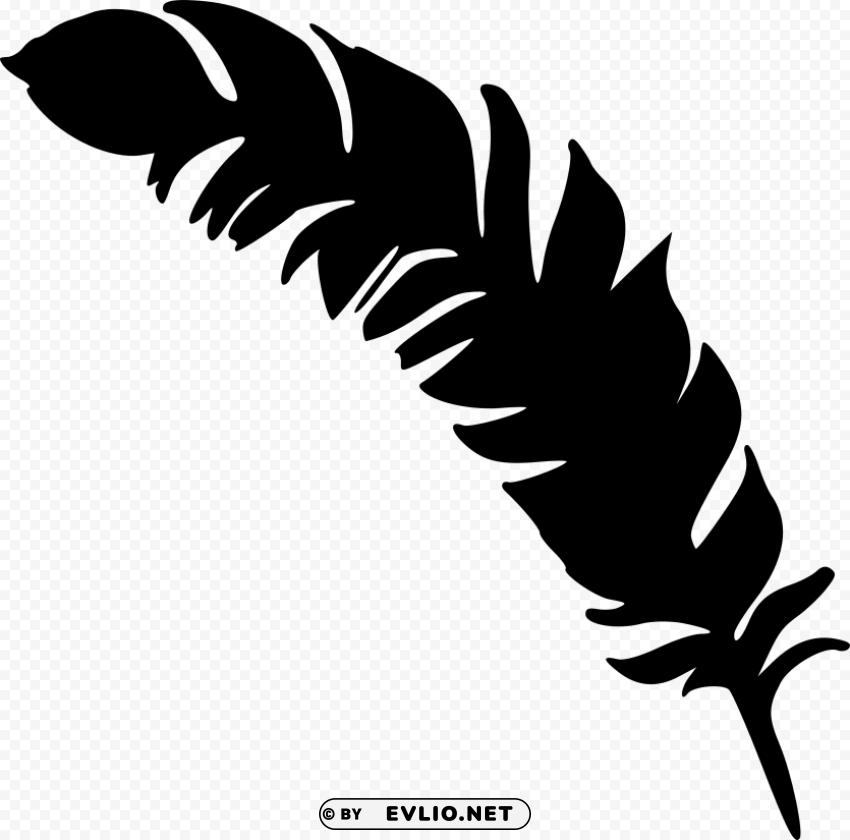 simple feather silhouette HighResolution Transparent PNG Isolation