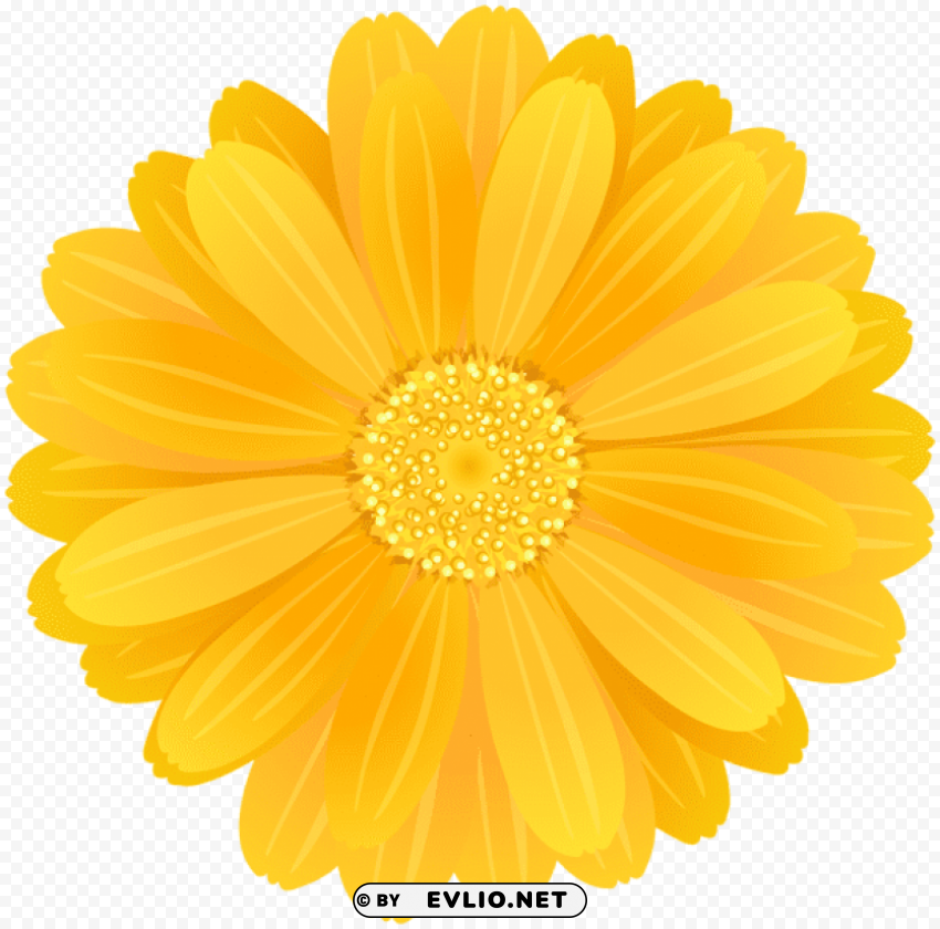 yellow flower Isolated Subject on HighQuality PNG