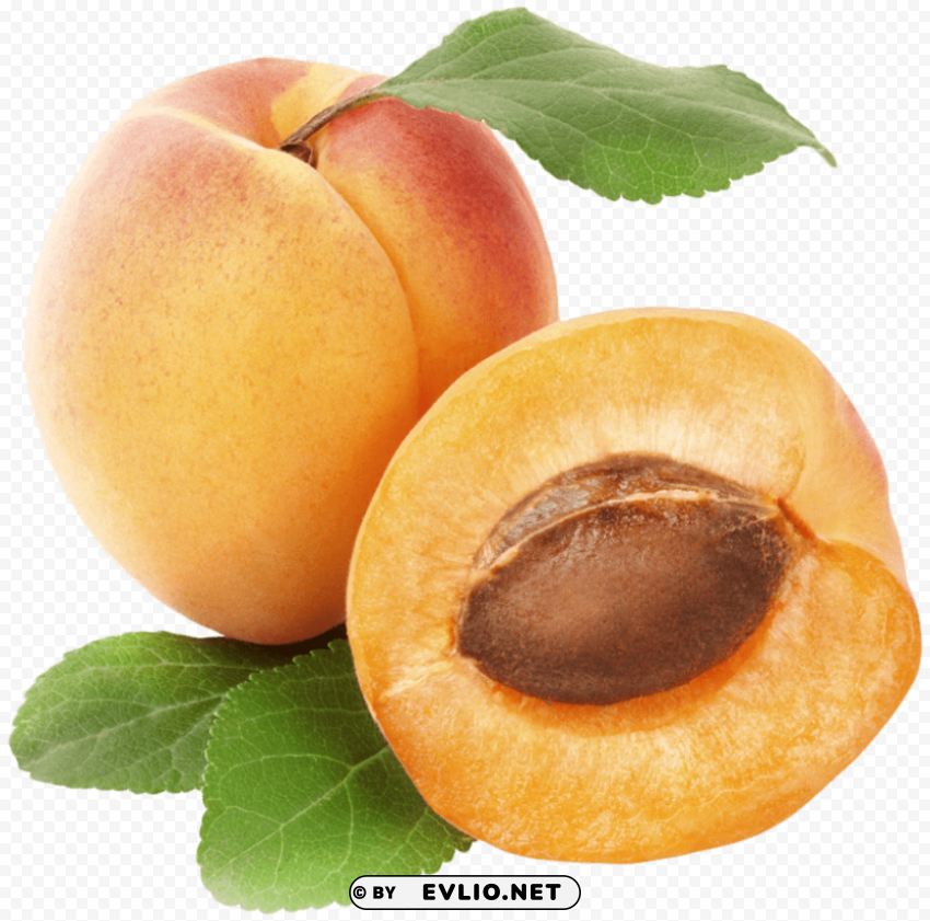 Apricots PNG Transparent Photos Comprehensive Compilation