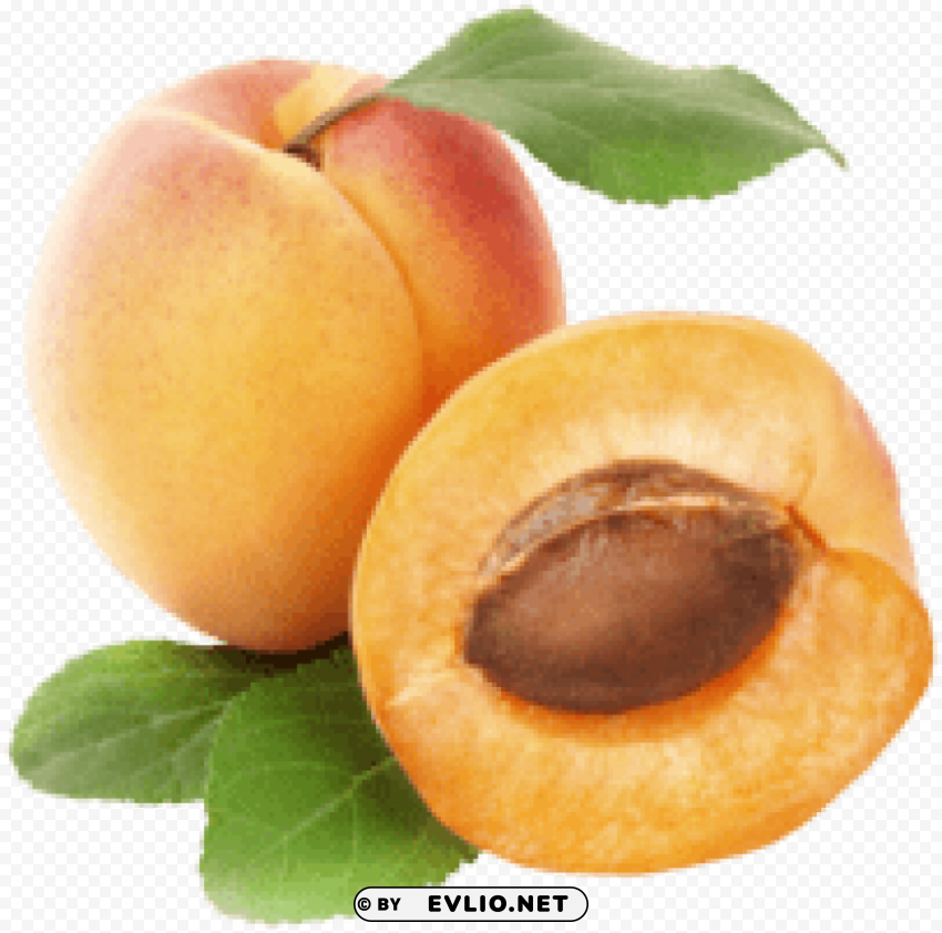 apricots Isolated Icon with Clear Background PNG