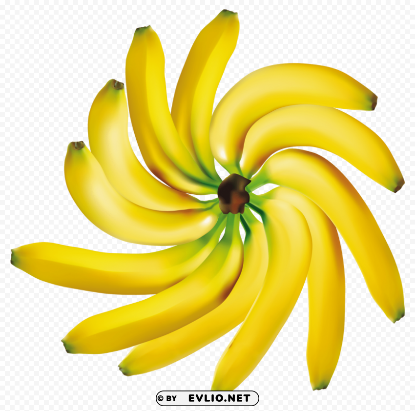 bananas decoration PNG transparent photos for design