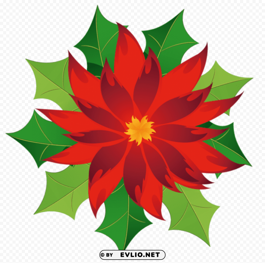 christmas poinsettia Transparent Background Isolated PNG Design Element