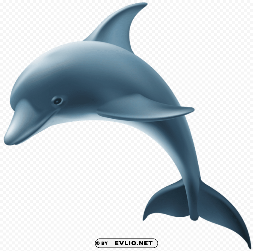 dolphin Isolated Element with Transparent PNG Background