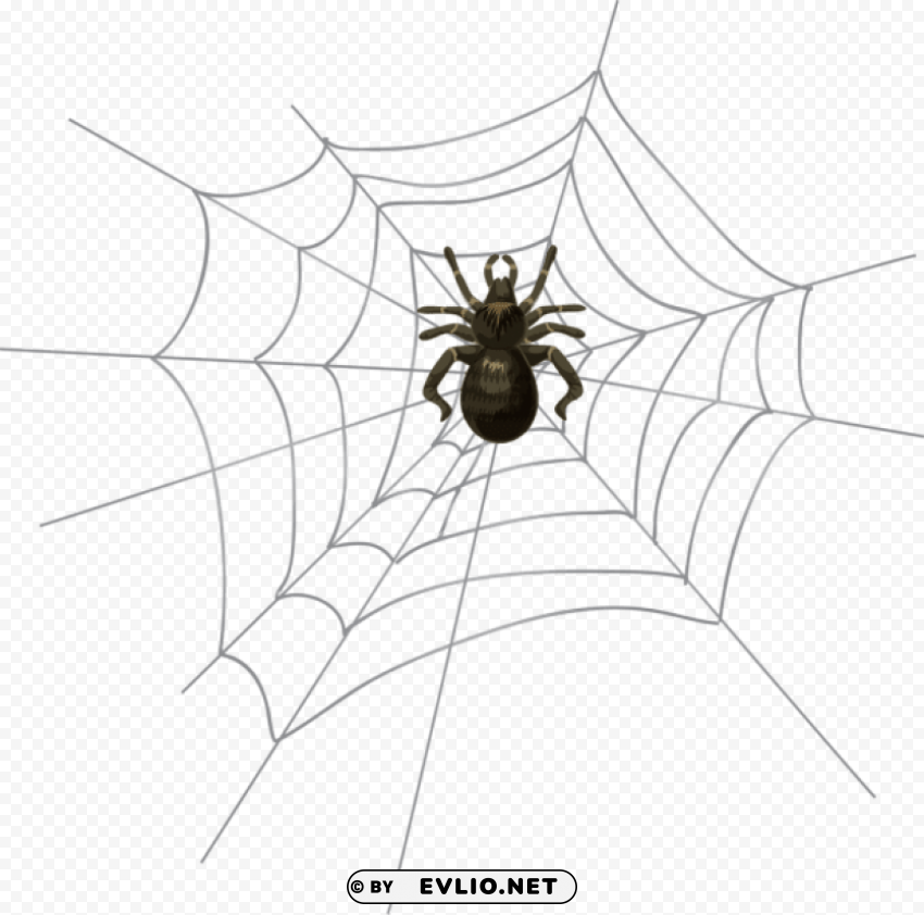 halloween spider web PNG with Isolated Transparency