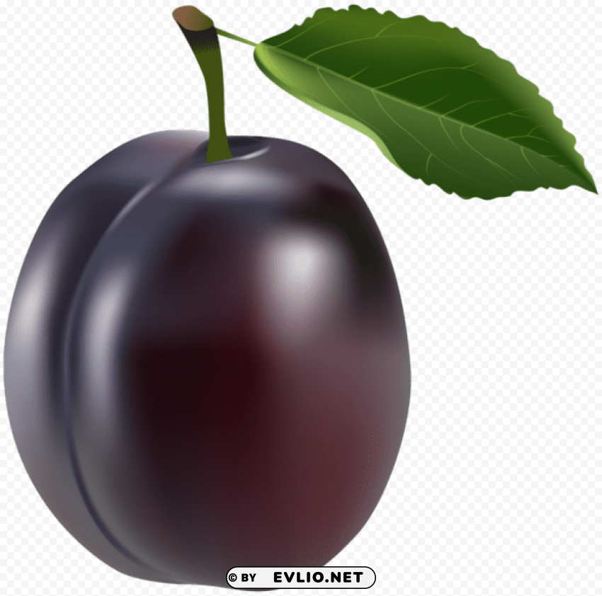 prune transparent PNG Image with Clear Isolated Object