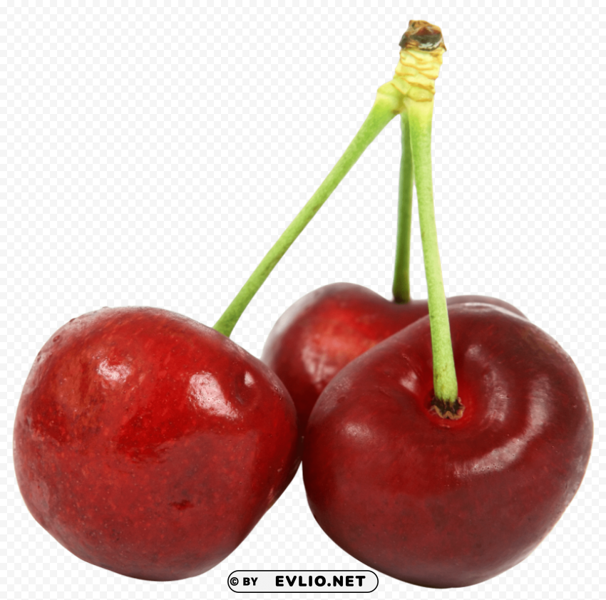 ripe cherry Isolated Design Element on PNG