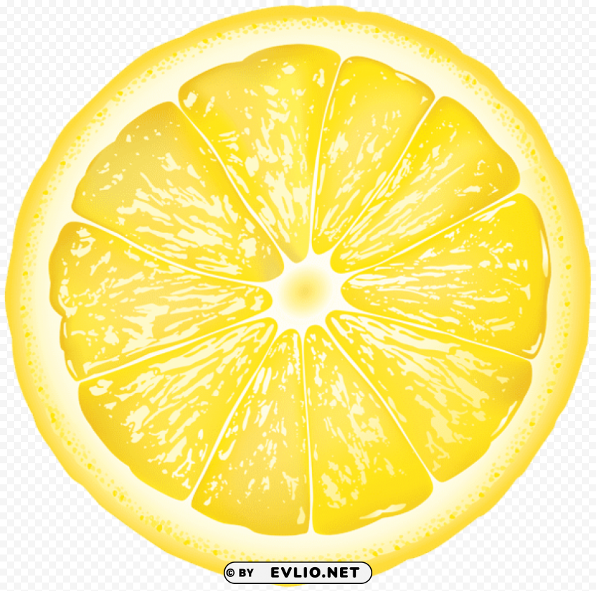 round lemon slice Isolated PNG on Transparent Background