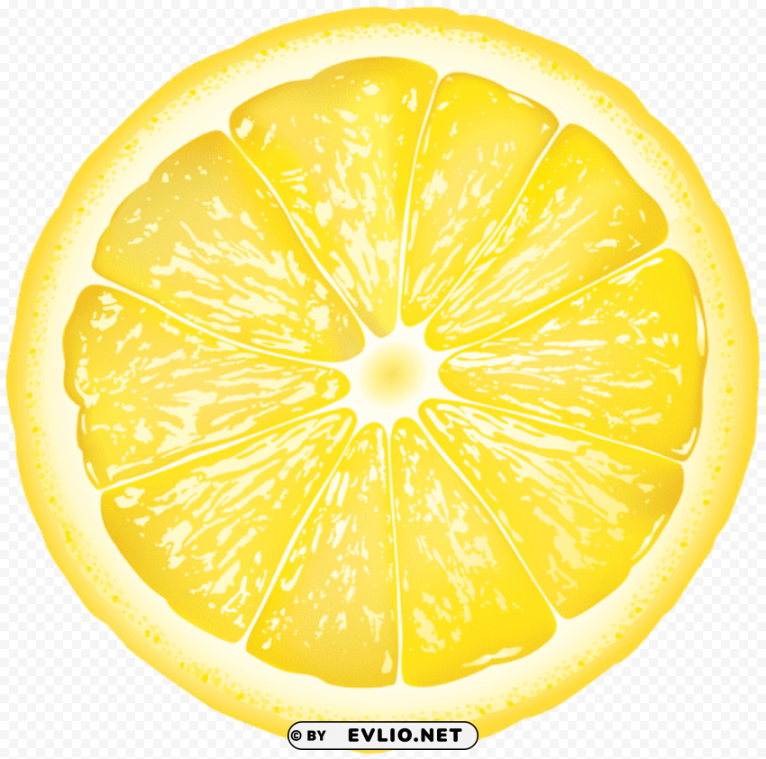 Round Lemon Slice Isolated PNG On Transparent Background