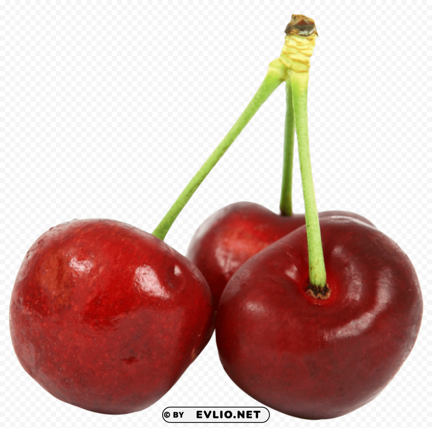 Three Cherries HighResolution Transparent PNG Isolated Graphic