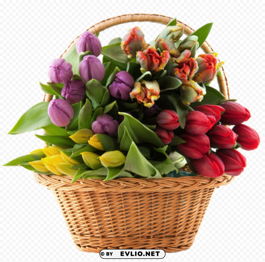  basket with tulips Transparent Cutout PNG Isolated Element