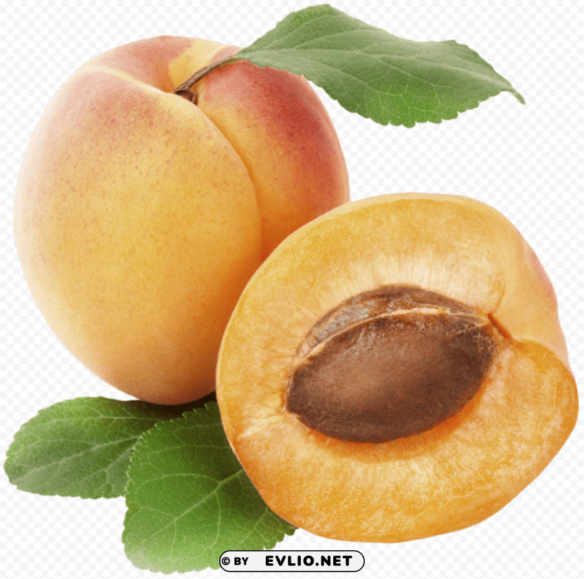 apricot Clear Background PNG Isolation PNG images with transparent backgrounds - Image ID 3ec51fe4