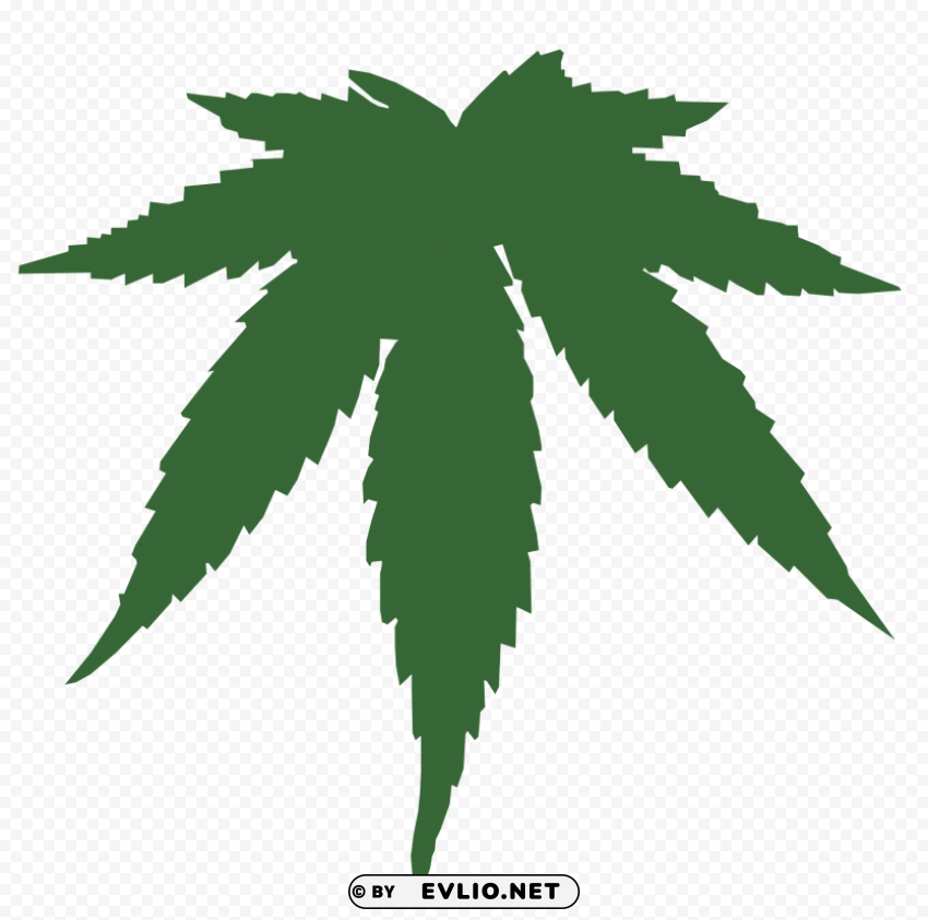 cannabis PNG with clear background extensive compilation