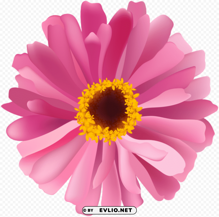 flower pink PNG for blog use