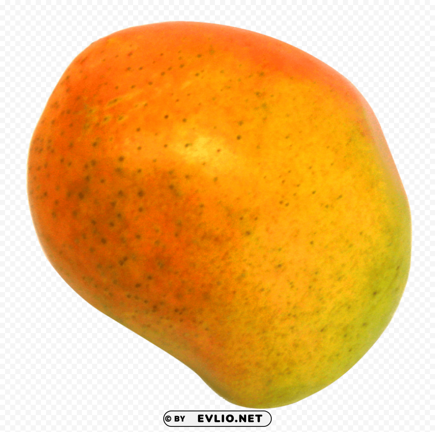 Mango PNG clear background