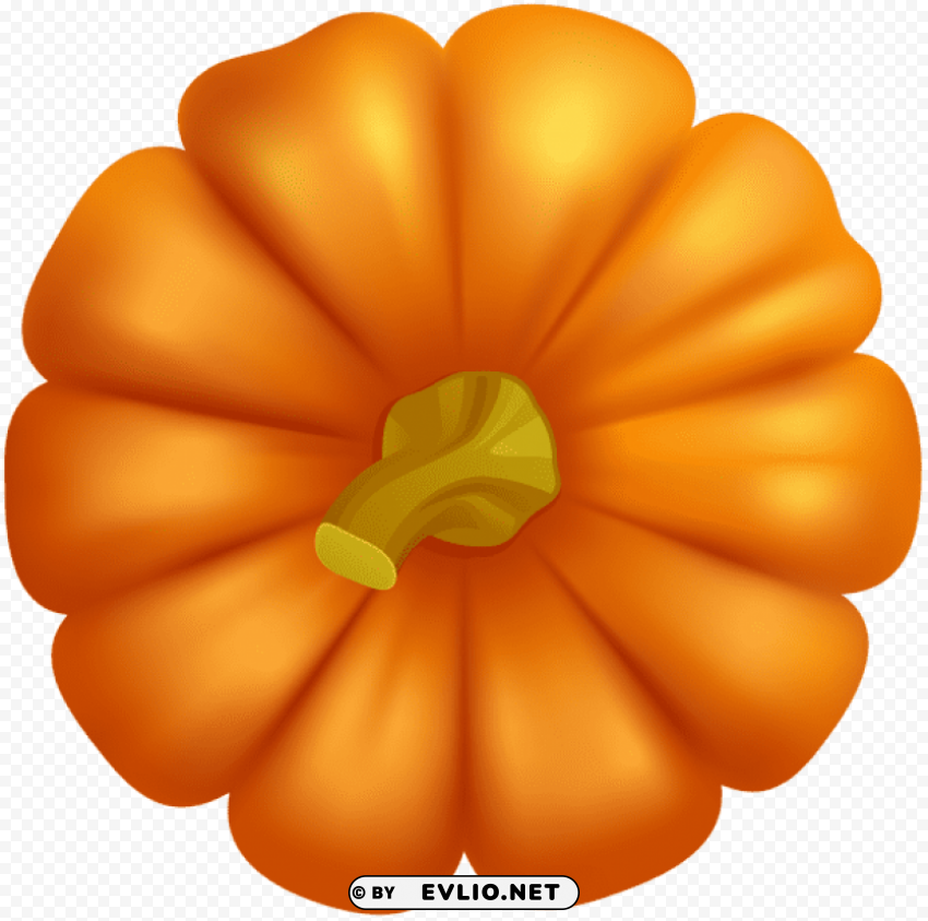 pumpkin Isolated Design on Clear Transparent PNG