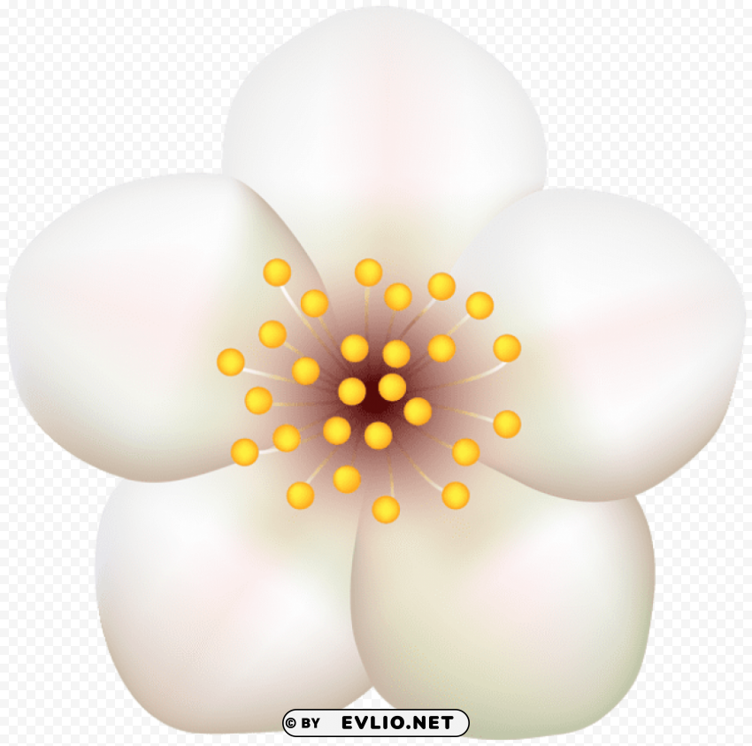 spring blooming tree flower transparent PNG Isolated Subject with Transparency