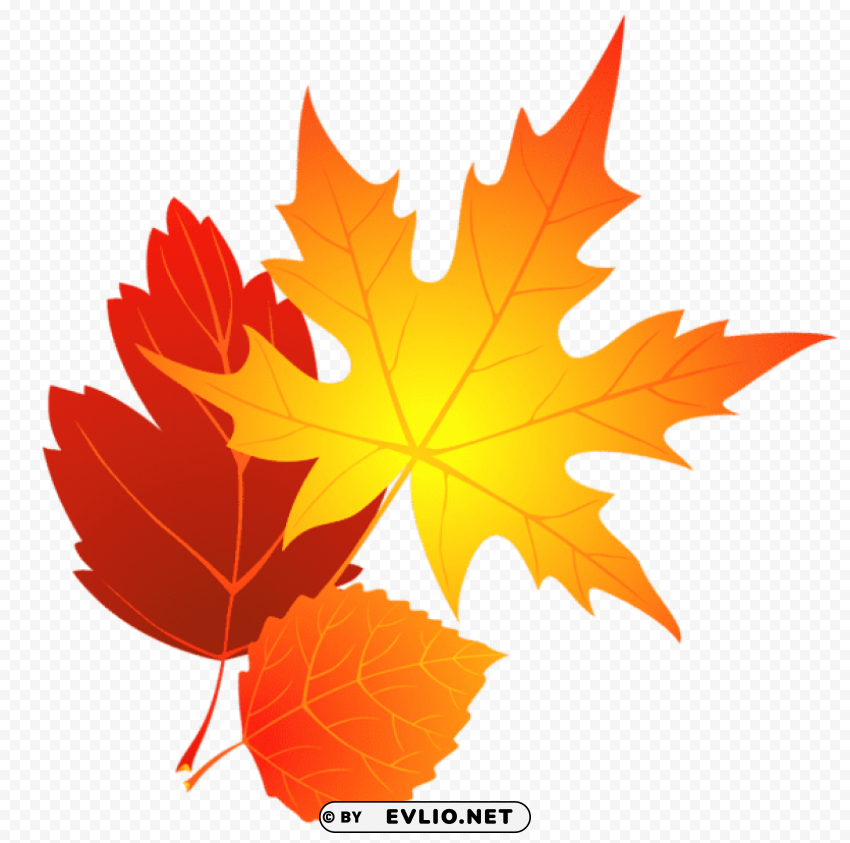  fall leaves HD transparent PNG