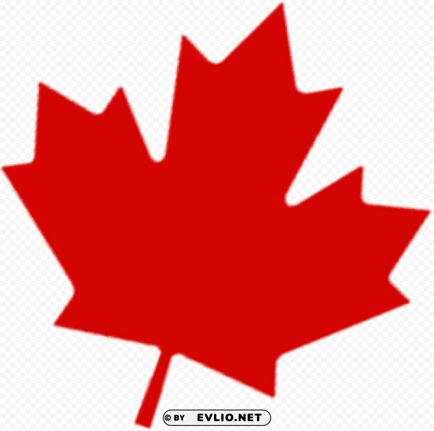 canada leaf free Isolated Object in HighQuality Transparent PNG