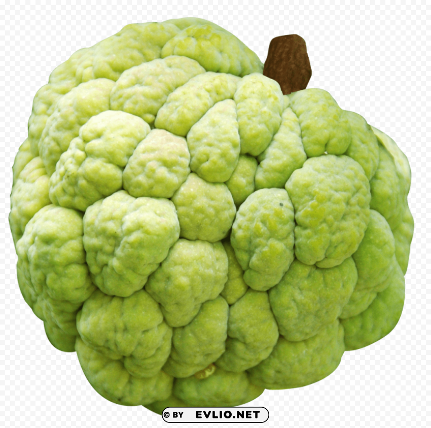 custard apple Isolated Character in Clear Background PNG
