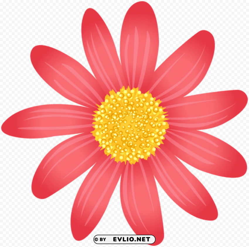 decorative flower PNG for online use