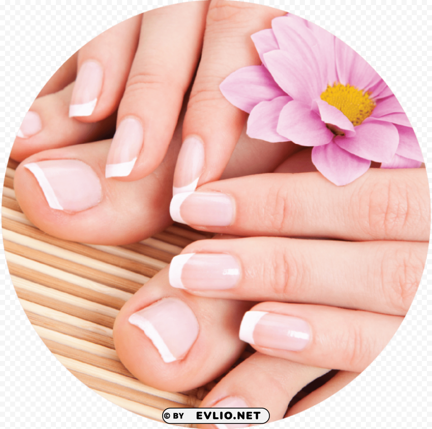 nails Transparent PNG Isolated Subject