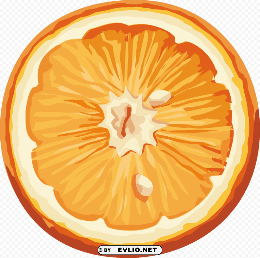 orange Transparent PNG Isolated Object Design clipart png photo - 3f8c22ec