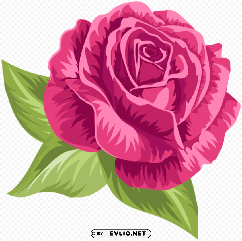 pink vintage rose Isolated Subject with Clear Transparent PNG