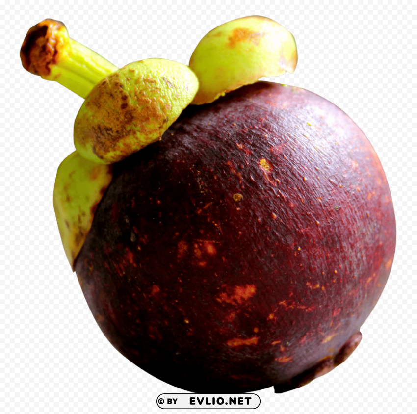 purple mangosteen PNG images with transparent elements pack