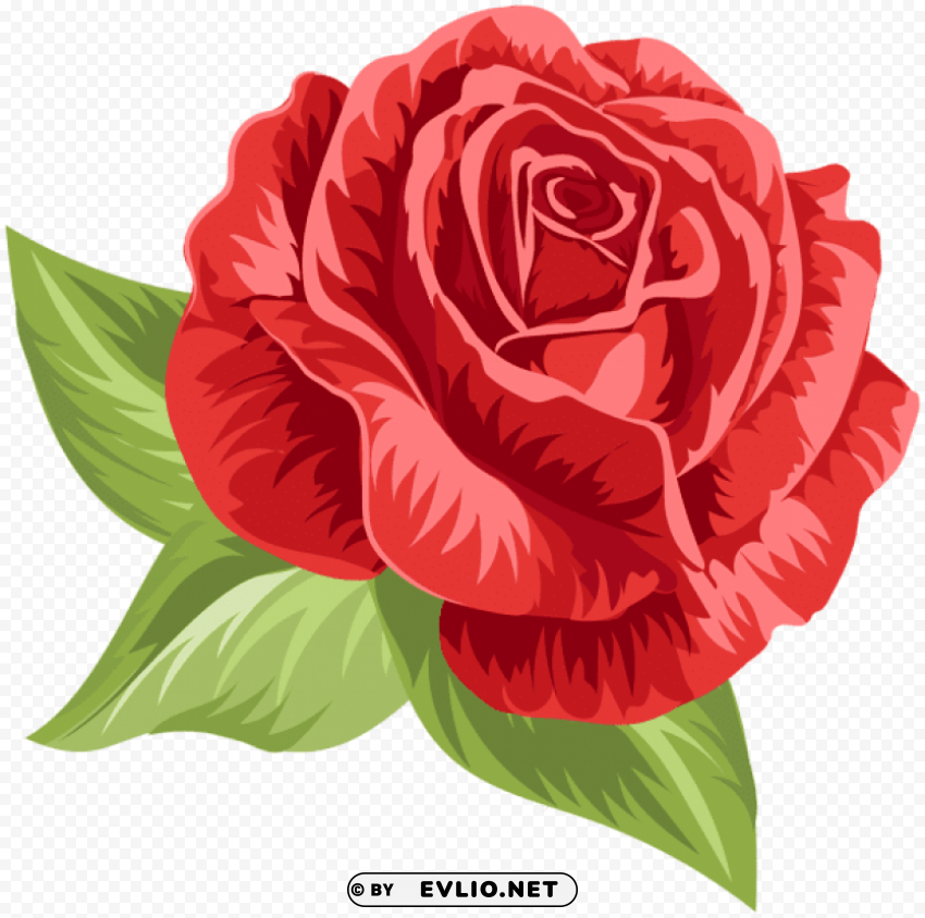 red vintage rose Isolated Subject with Transparent PNG