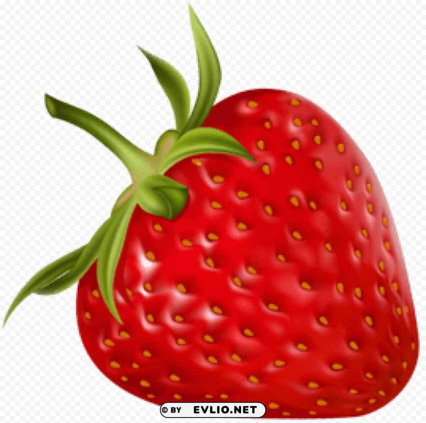 strawberry Isolated Artwork on Clear Transparent PNG