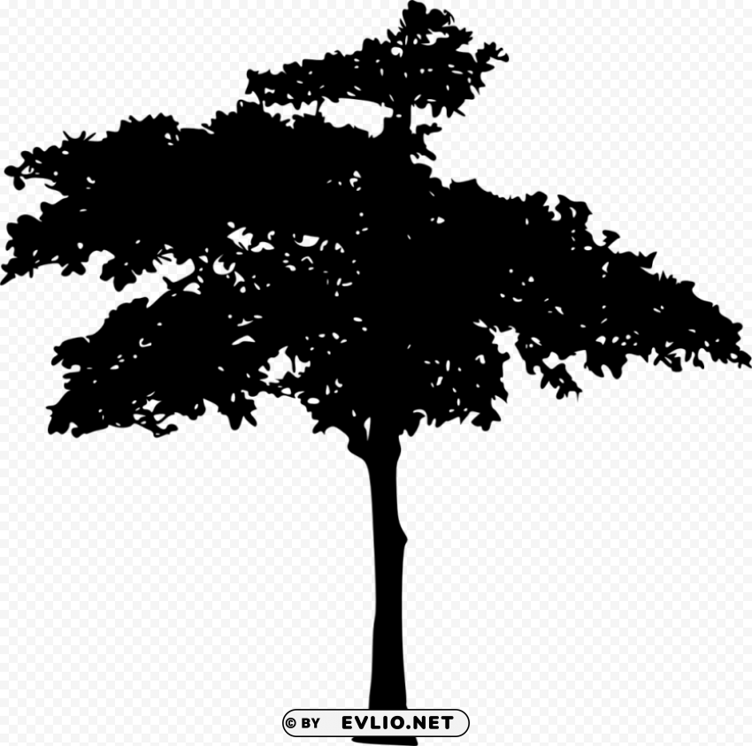 tree silhouette HighQuality Transparent PNG Isolated Artwork