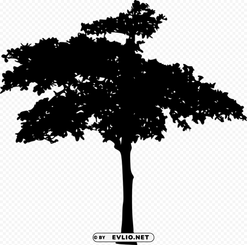 Transparent tree silhouette HighQuality Transparent PNG Isolated Artwork PNG Image - ID d8266498