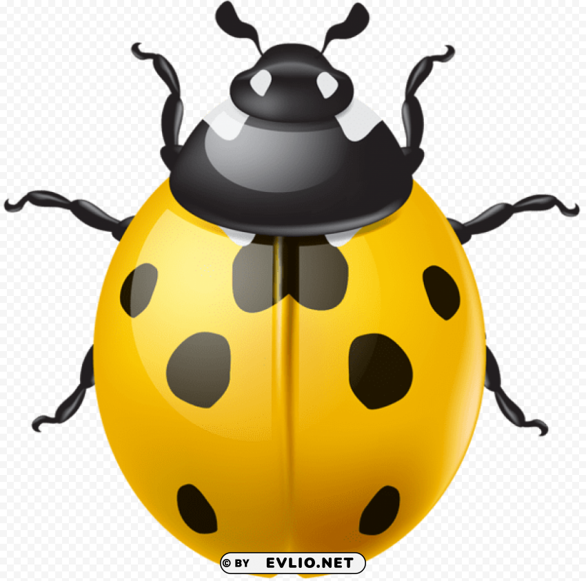 PNG image of yellow ladybird png Alpha channel PNGs with a clear background - Image ID 6037658a