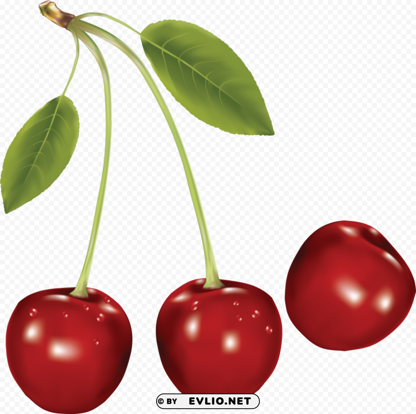 cherrys PNG objects