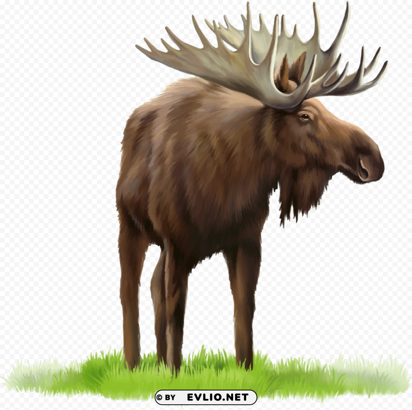 elk PNG pictures with no background