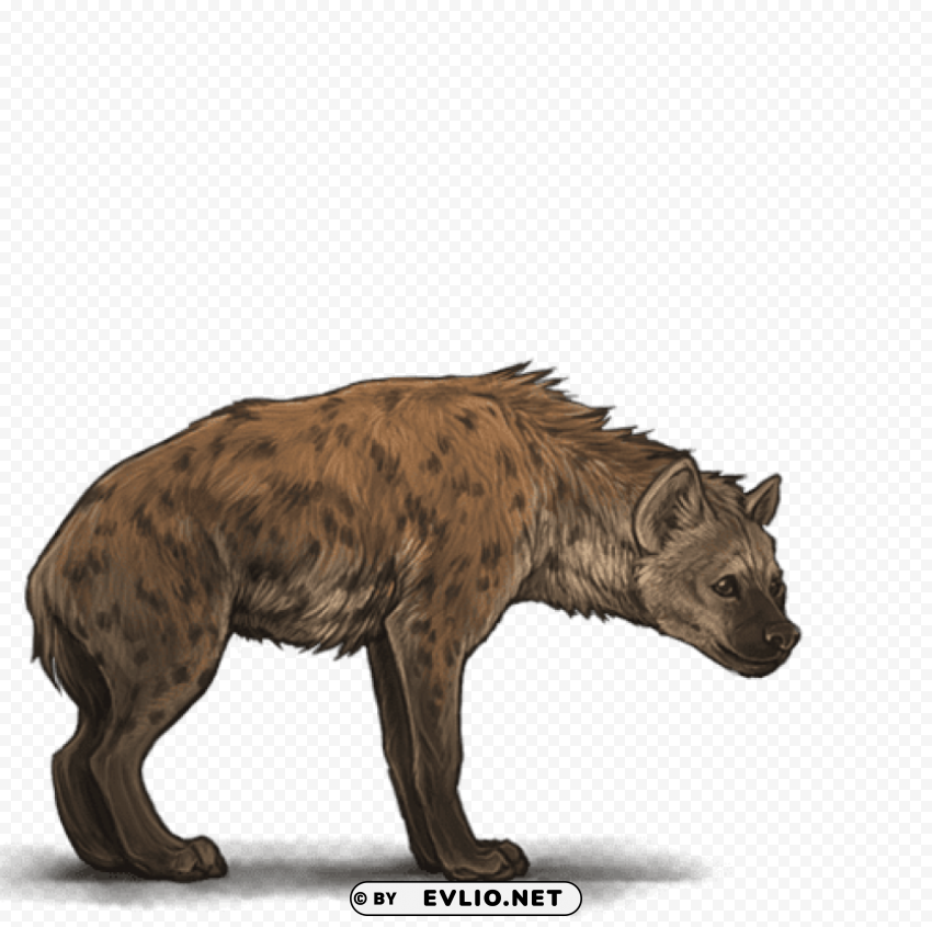 hyena PNG transparent photos assortment