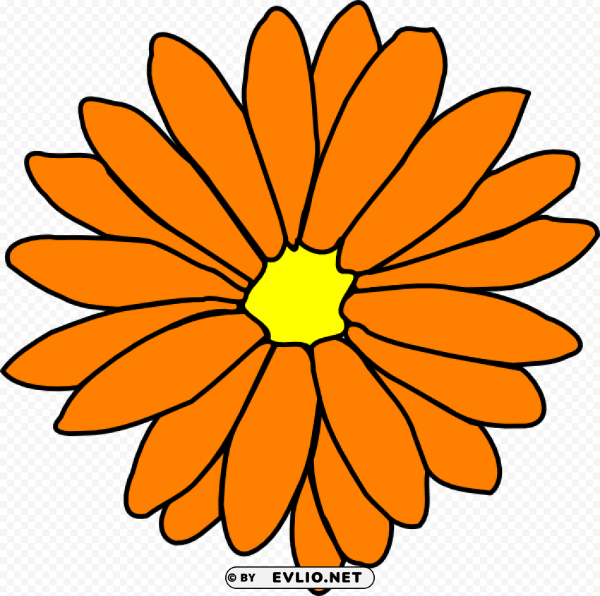 marigold flowers clipart 5 by christopher - single flower coloring flower HighQuality Transparent PNG Isolated Graphic Design