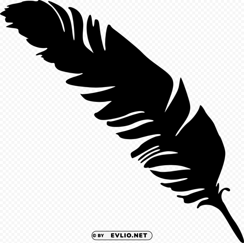 simple feather silhouette HighResolution Transparent PNG Isolated Item