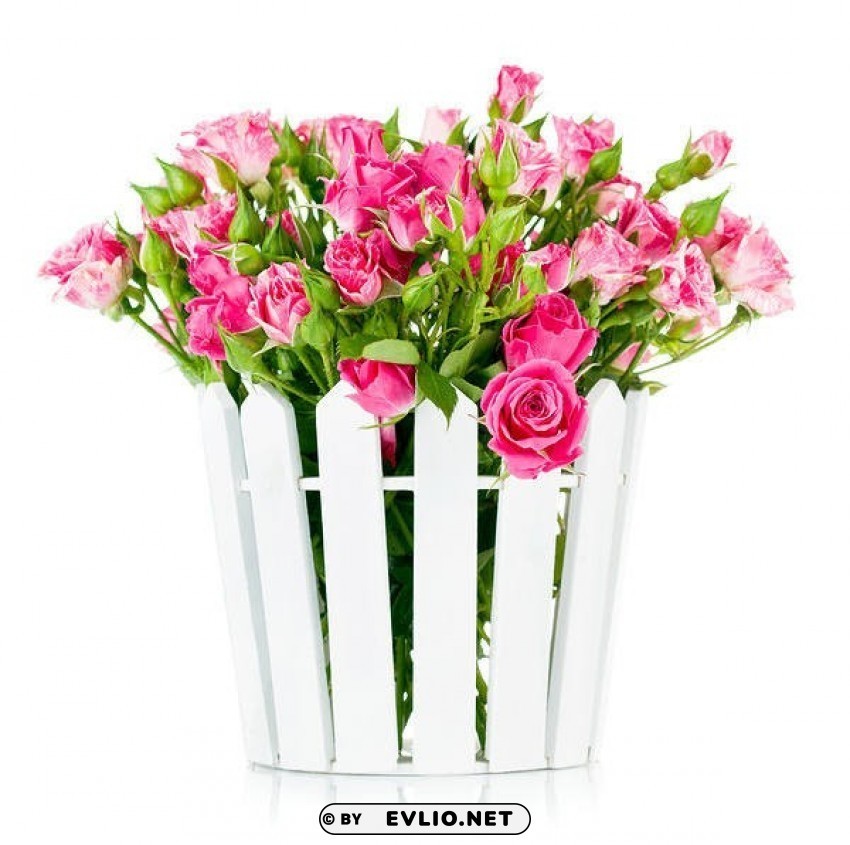 whitewith pink roses Transparent PNG photos for projects