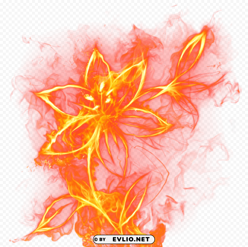 beautiful fire flowerpicture PNG transparent photos extensive collection